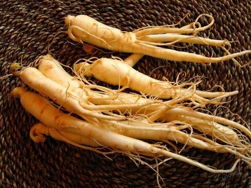 ginseng gamut aron sa pagdugang sa potency human sa 60