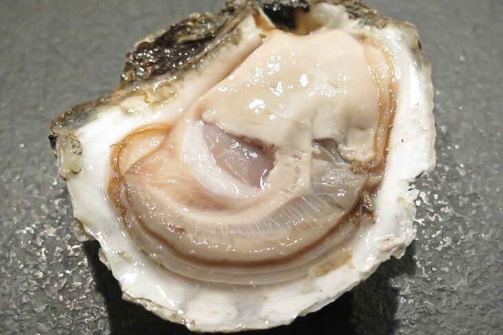 oysters aron madugangan ang potency