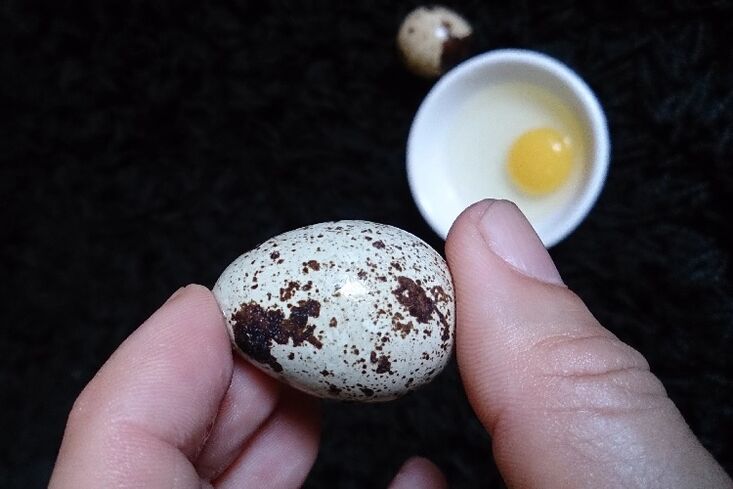 quail itlog aron sa pagdugang sa potency