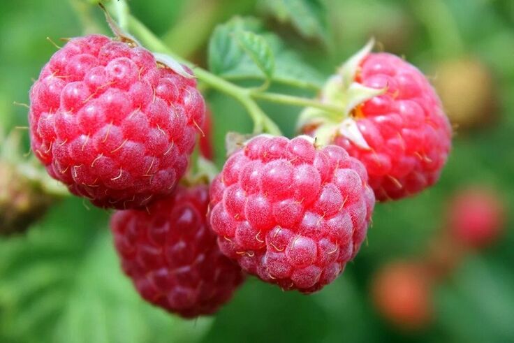 raspberries aron sa pagdugang sa potency